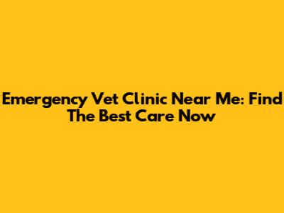 Emergency Vet Clinic Near Me: Find The Best Care Now